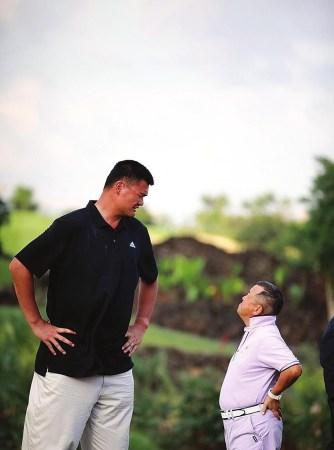 链接欧洲高 链接欧洲高