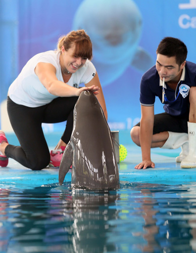 土耳其已经 土耳其已经