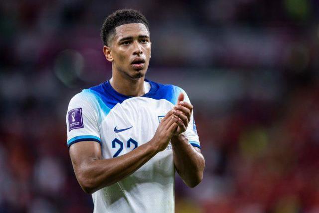 黄蜂的反击 黄蜂的反击